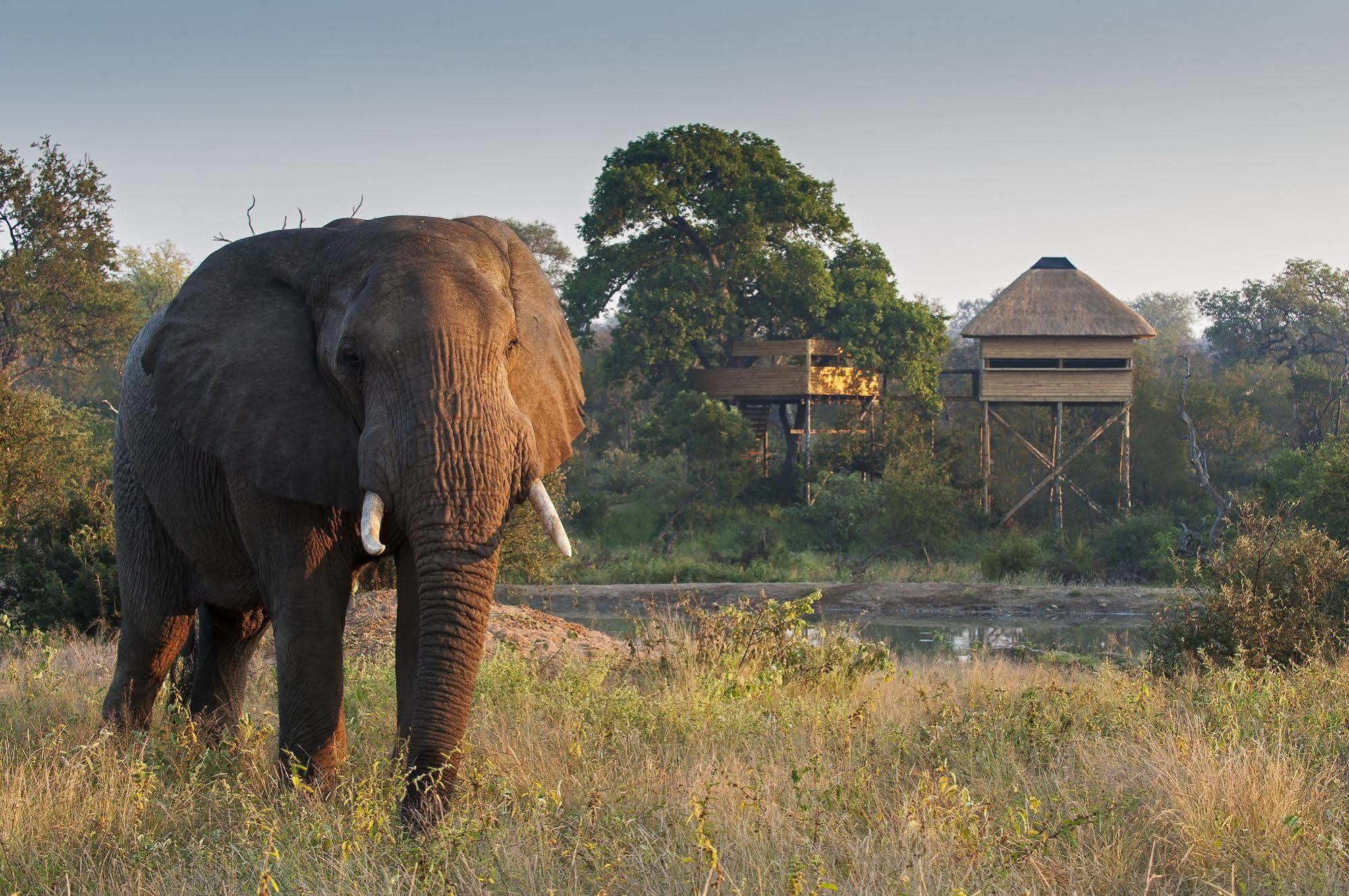 Pondoro Game Lodge Резерват за животни „Балуле“ Екстериор снимка